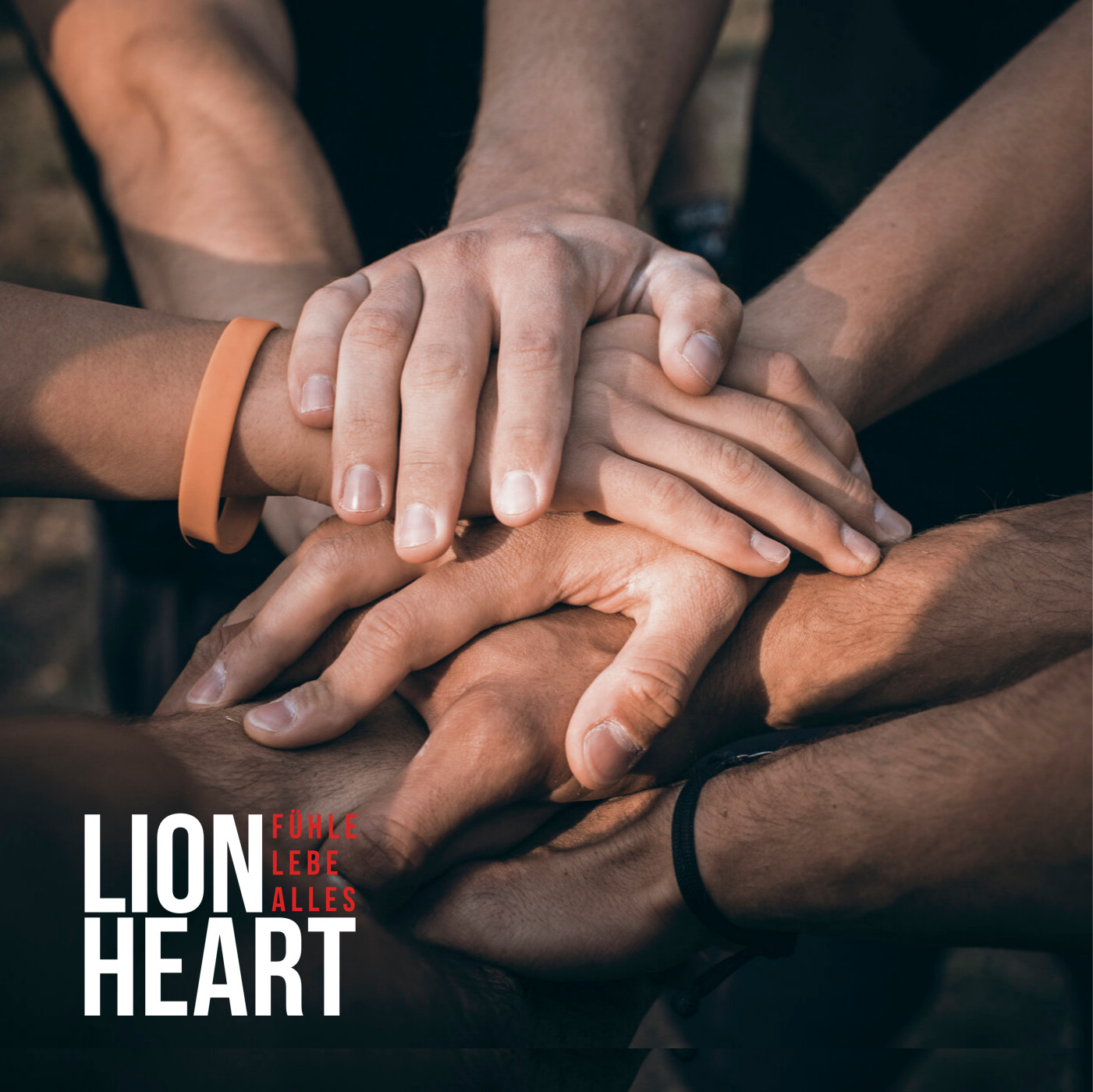 Lion Heart - Der Männer Podcast