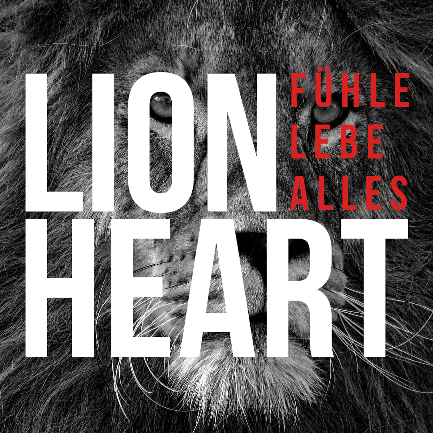Lion Heart - Der Männer Podcast